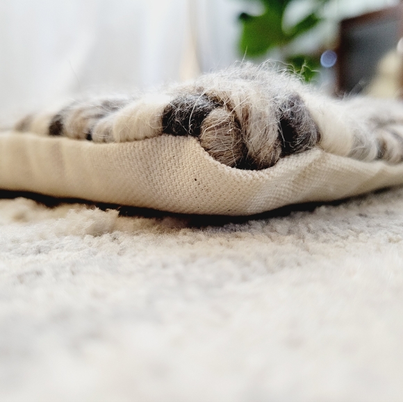 🆕️ Surya Cordoba Collection Pillow Sham Case set of 1 - Picture 4 of 7